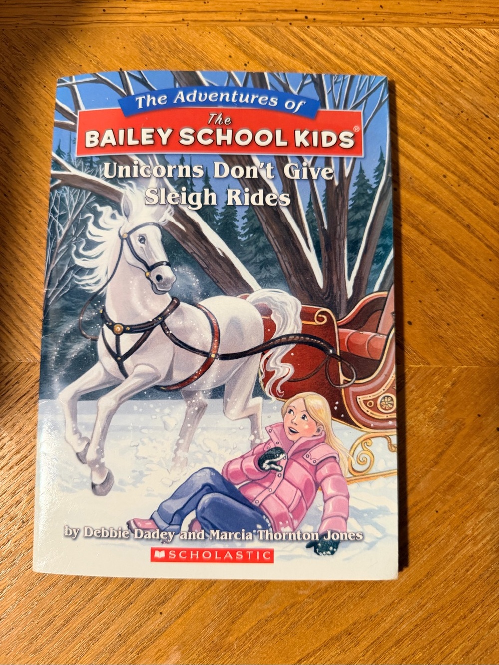 The Bailey School Kids: Unicorns Don't Give Sleigh Rides - YA fiction softcover